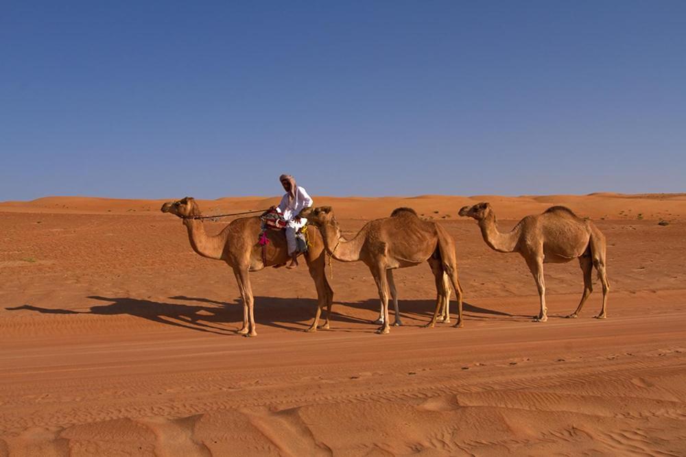 Desert Retreat Camp Hotel Al Wasil Exterior photo